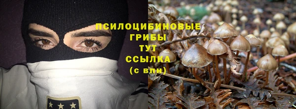 прущая мука Верхний Тагил