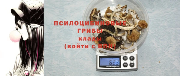 прущая мука Верхний Тагил