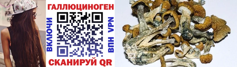 Псилоцибиновые грибы мухоморы Луга